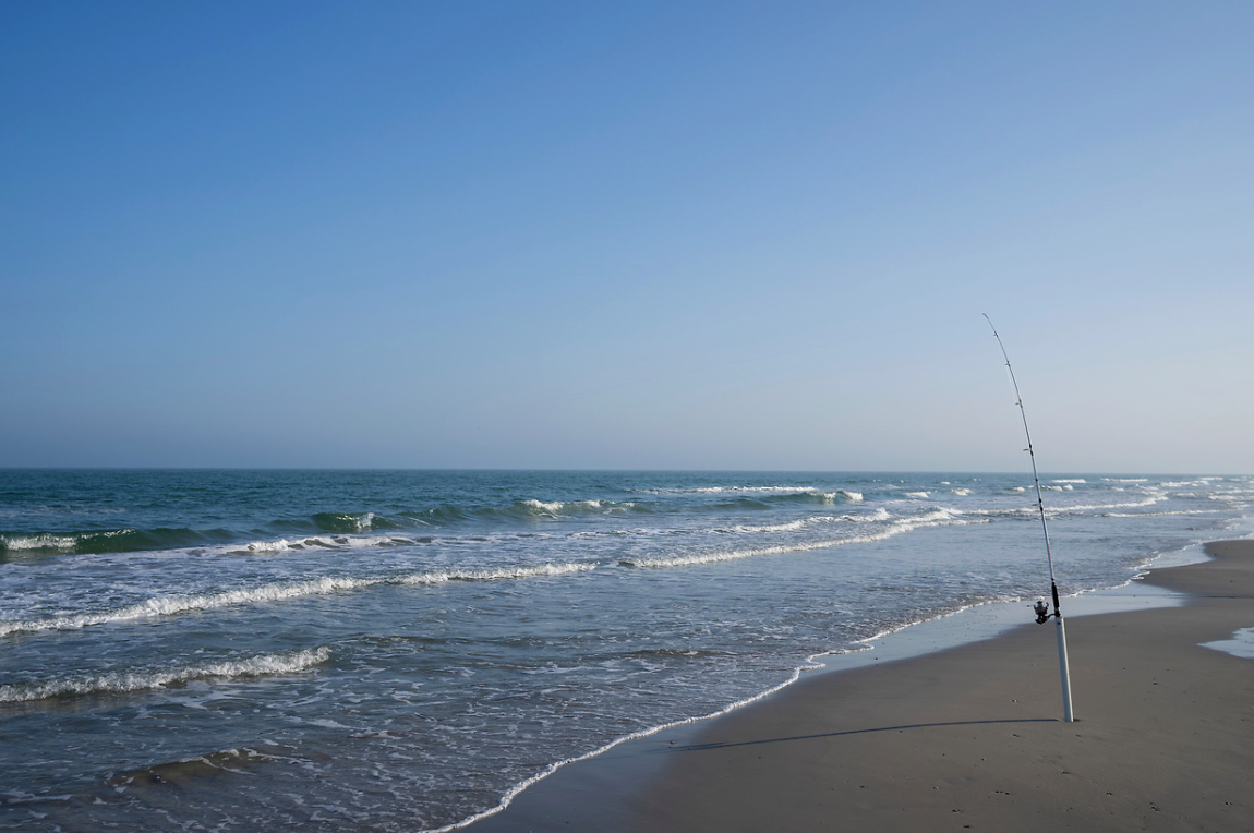 The Role of Seafood Consumption in Child Growth and Development